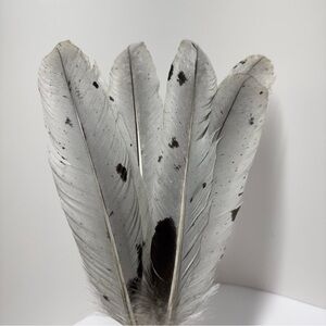 All Natural Blue Slate Turkey Wing Feathers. Pack of 10.